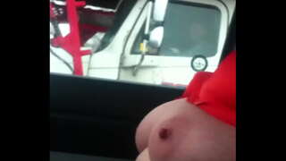 австралия лис дразнит дальнобойщиков