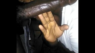 Көн башы менән дивандан күтәрелде