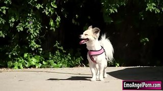 תינוק קטן מקועקע מוצא את הכלב שלה לרכוש שכניה.השכן שלה רוצה פרס, הם מסירים את בגדיהם ואז היא שוחטת שכנים bigcock.In תחזיר לשכן שלה את הכוס ואת התחת שלה עמוק וחזק עד שהוא יגמור עליה.